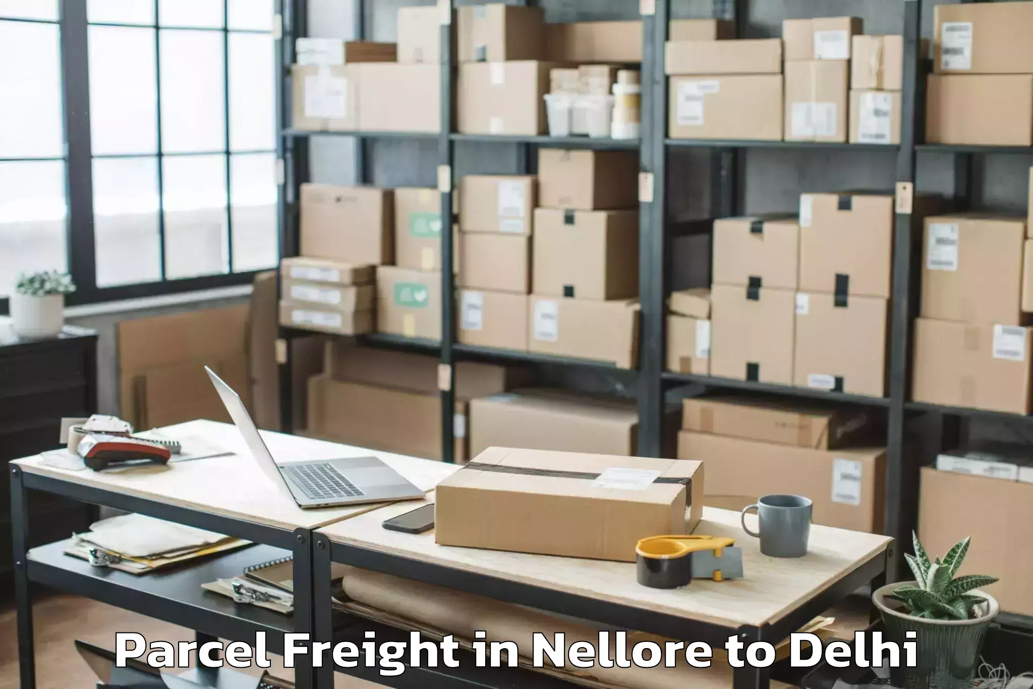 Top Nellore to East Delhi Parcel Freight Available